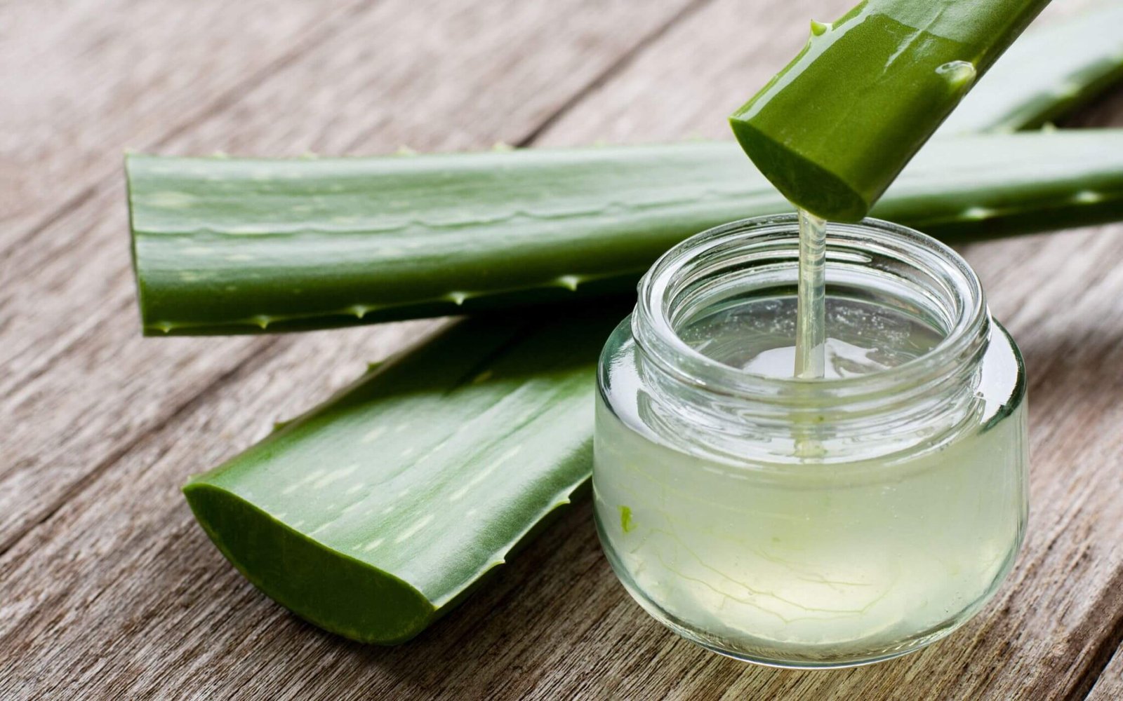 Wirkung Aloe Vera
