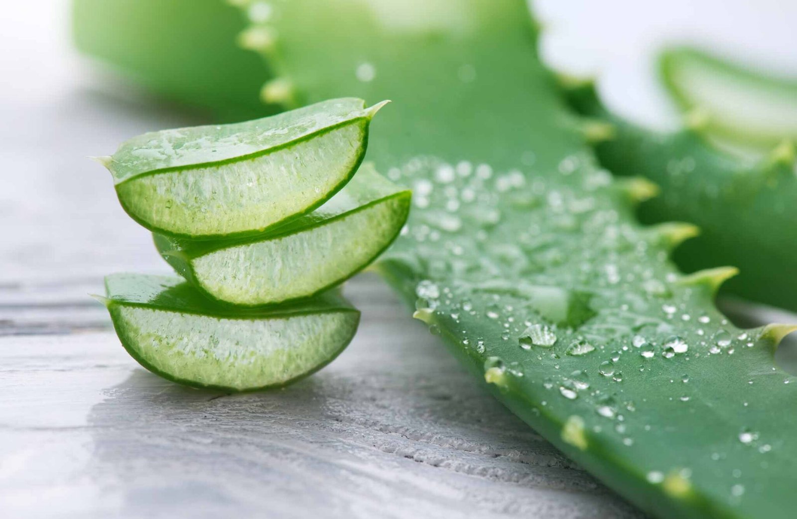 Wirkung Aloe Vera